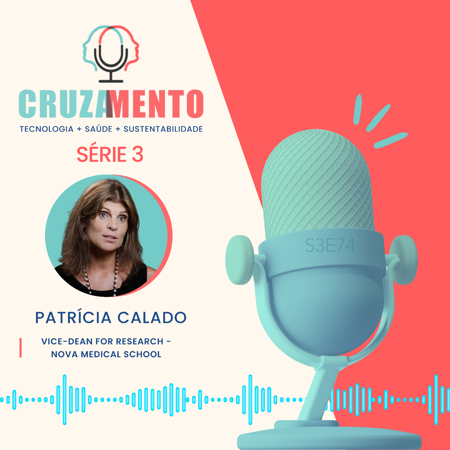 74: Patrícia Calado: Qual a estratégia para o futuro da investigação? [PT]